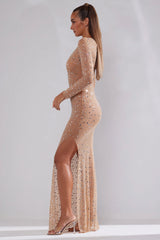 Sheer Embellished Long Sleeve Evening Gown in Almond